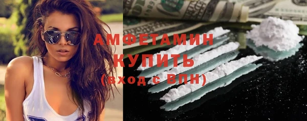 шишки Лабытнанги