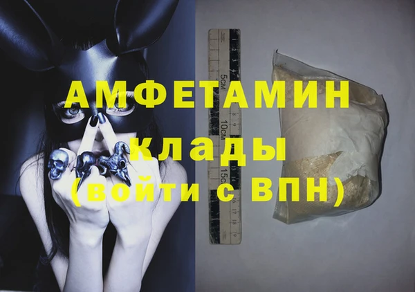 шишки Лабытнанги