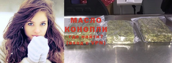 шишки Лабытнанги
