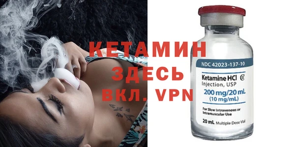 шишки Лабытнанги