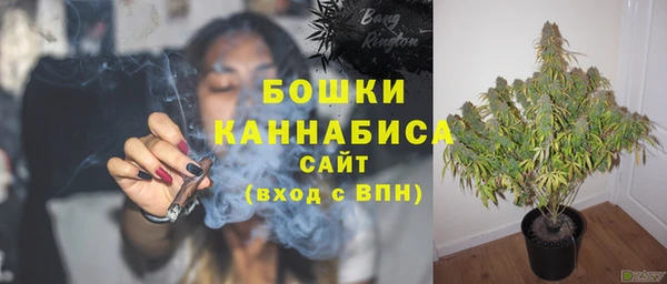 шишки Лабытнанги