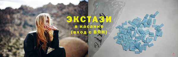 СК Пересвет