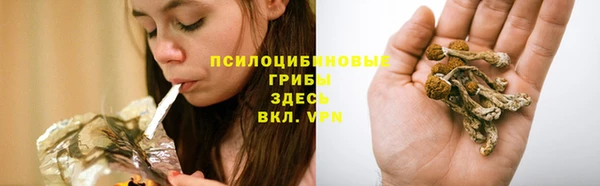 амф Лагань