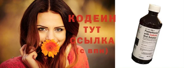 шишки Лабытнанги