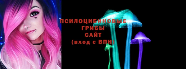шишки Приозерск