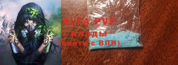 шишки Лабытнанги