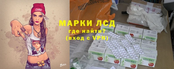 шишки Лабытнанги