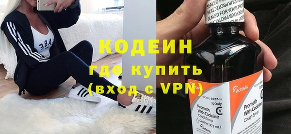 шишки Лабытнанги