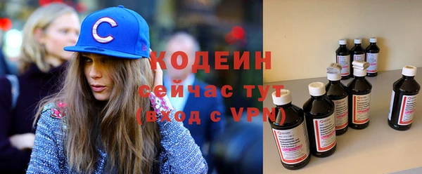 шишки Лабытнанги