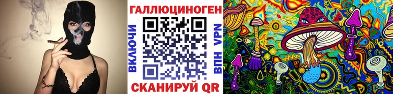 наркотики Тбилисская Псилоцибиновые грибы MAGIC MUSHROOMS